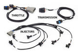 Haltech NEXUS Rebel LS suites gen 3